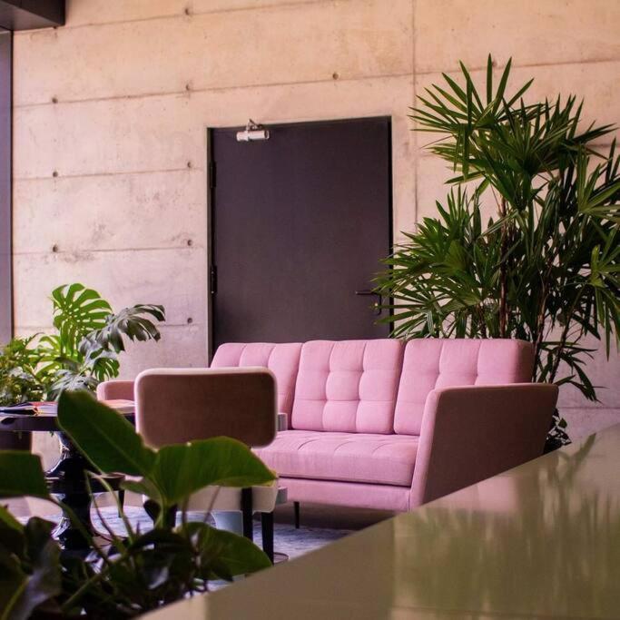 Cosmopolitan Apt 1407, 5 Star Facilities, 15M Sjo Airport, Parking, Pool, Gym San José Kültér fotó